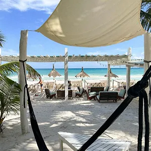 https://coco-limited.tulum-hotels.net